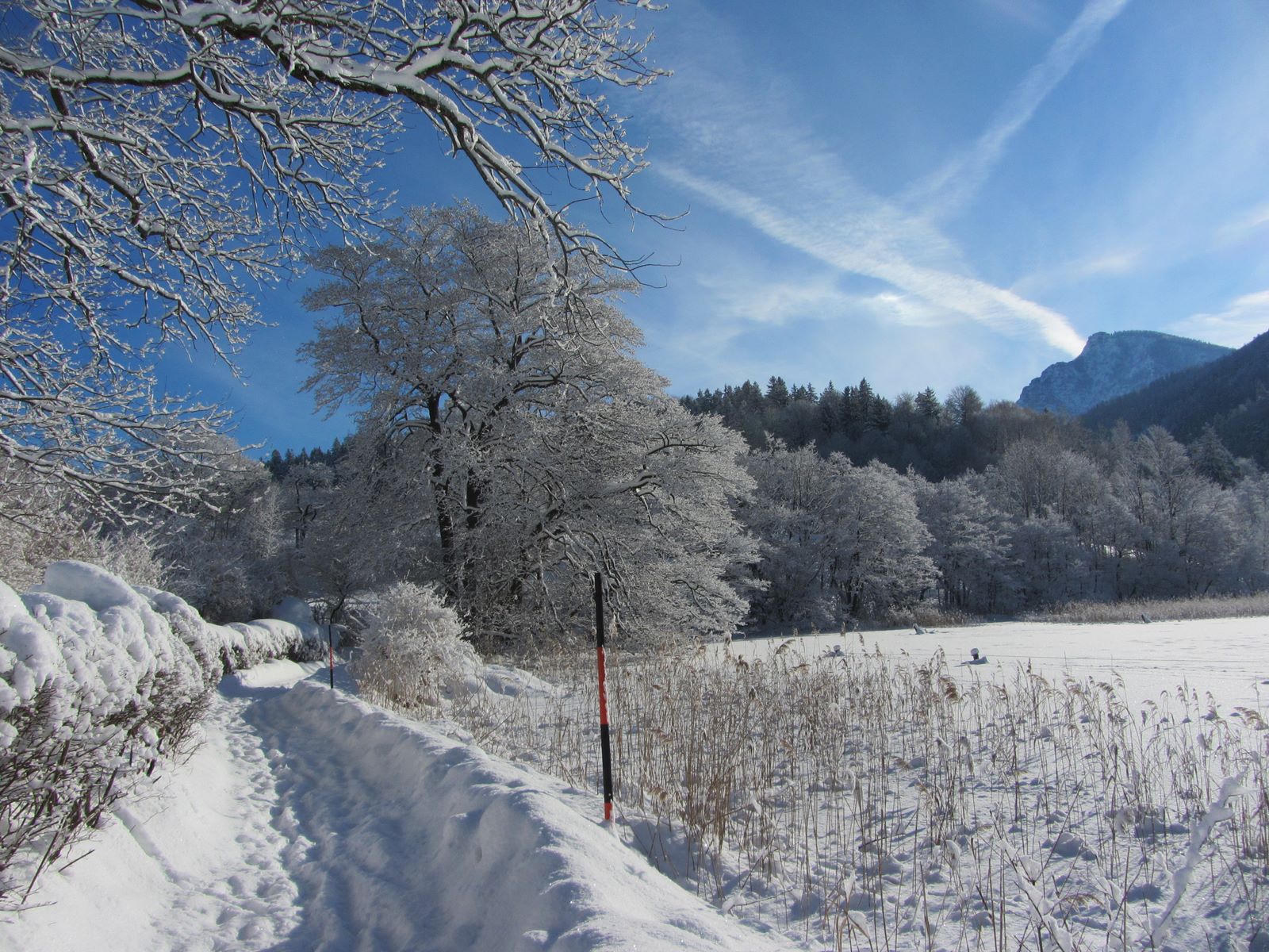 Winter am Thumsee